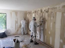 Best Mold Remediation for Healthcare Facilities in Exeter, CA